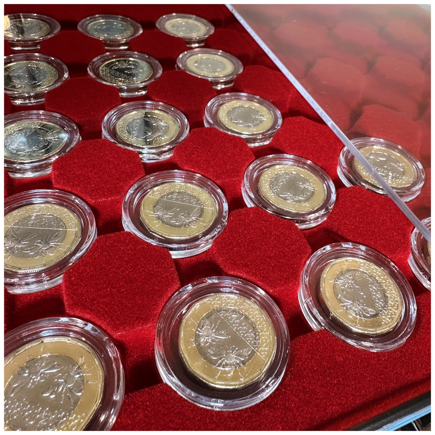 1x $1 Lighthouse Coin Display Case (Display x35 $1 Coins - Ultra Capsules Sold Separately)