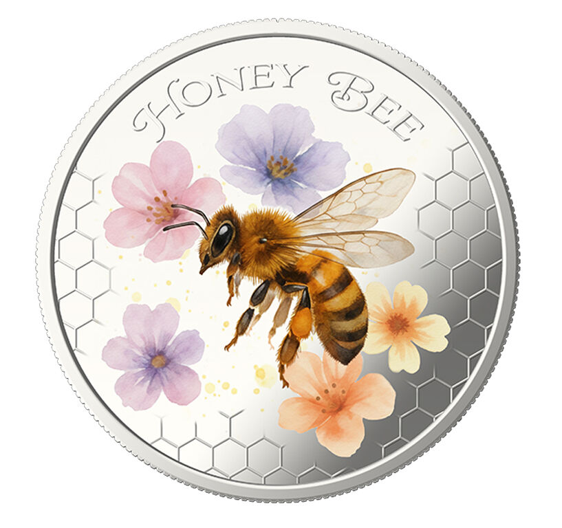 1x UNC 2026 50c Solomon Islands Honeybee - INTERNATIONAL Mintage: 20,000