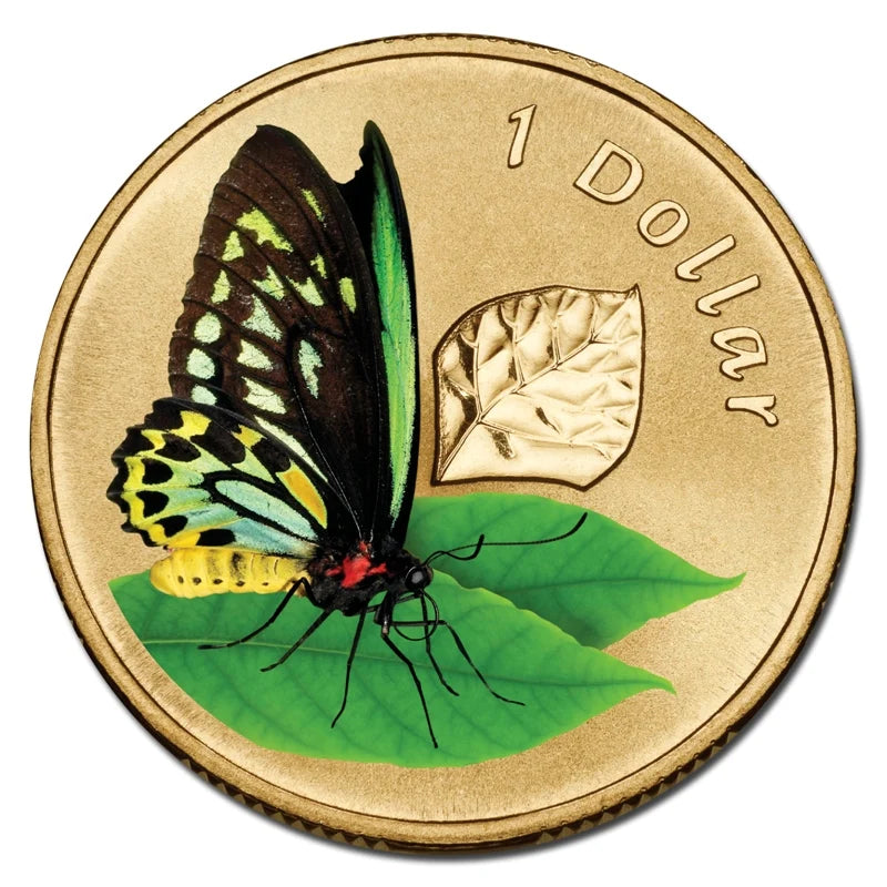 2011 $1 Cairns Birdwing Butterfly Air Series Carded Coin - Mintage: 17,502