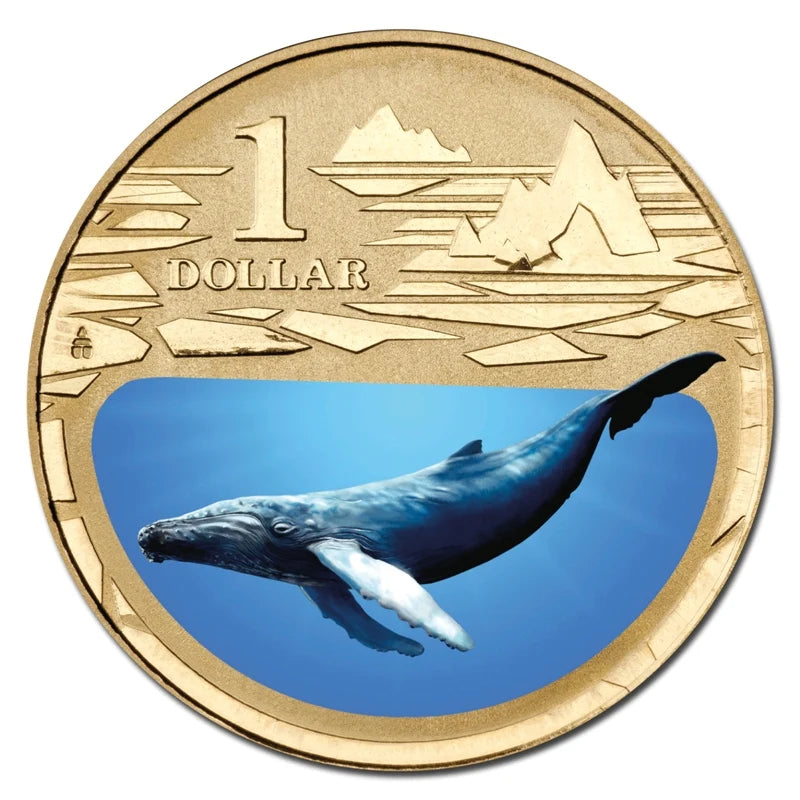 2013 $1 Humpback Whale Polar Animals Series Carded Coin - Mintage: 10,002