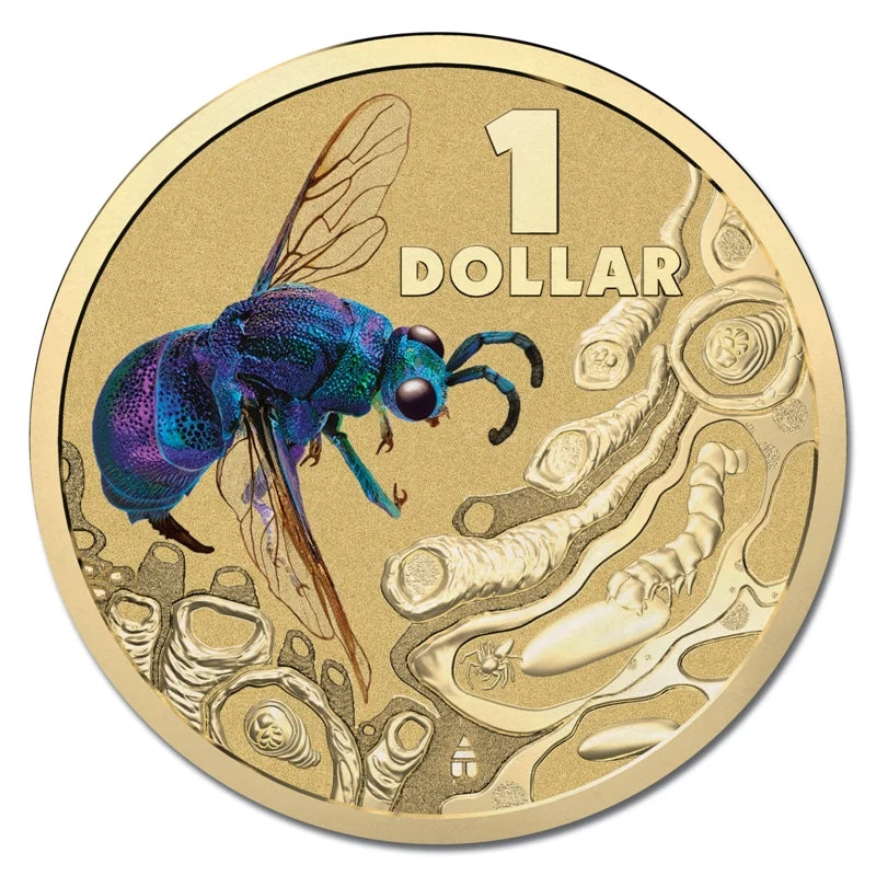 2014 $1 Cuckoo Wasp Carded Coin Brightbug Series - Mintage: 30,000