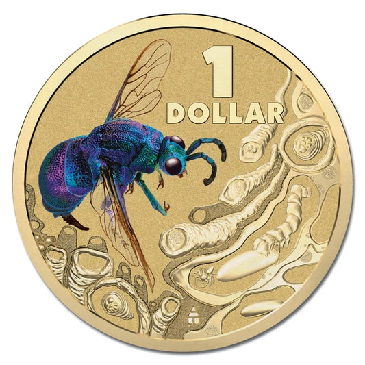 2014 $1 Cuckoo Wasp Carded Coin Brightbug Series - Mintage: 30,000