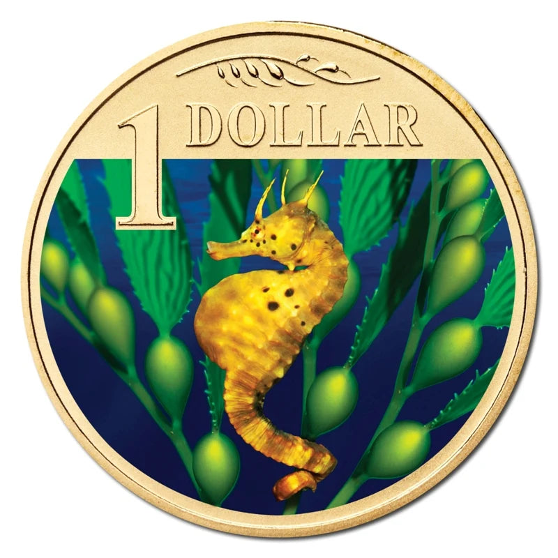2007 $1 Big Belly Seahorse Carded Coin - Mintage: 24,666