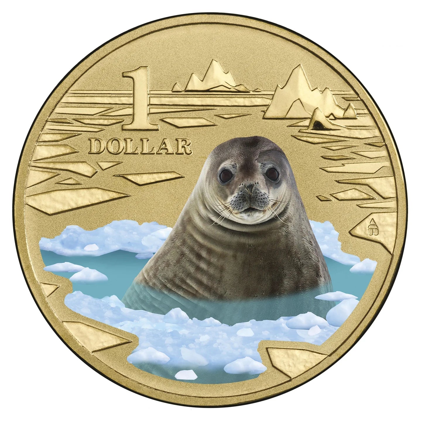 2013 $1 Weddell Seal Polar Animals Series Carded Coin - Mintage: 10,002
