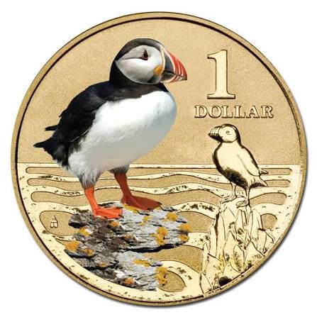 2013 $1 Atlantic Puffin Polar Animals Series Carded Coin - Mintage: 10,002