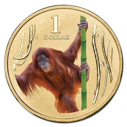2012 $1 Orang-utang Animals Of The Zoo Carded Coin - Mintage: 15,002
