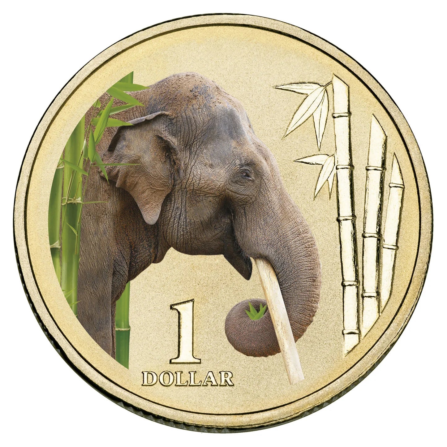 2012 $1 Asian Elephant Animals Of The Zoo Carded Coin - Mintage: 15,002