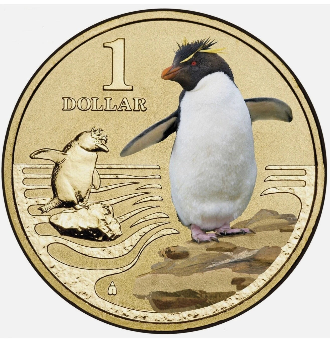 2013 $1 Rockhopper Penguin Polar Animals Series Carded Coin - Mintage: 10,002