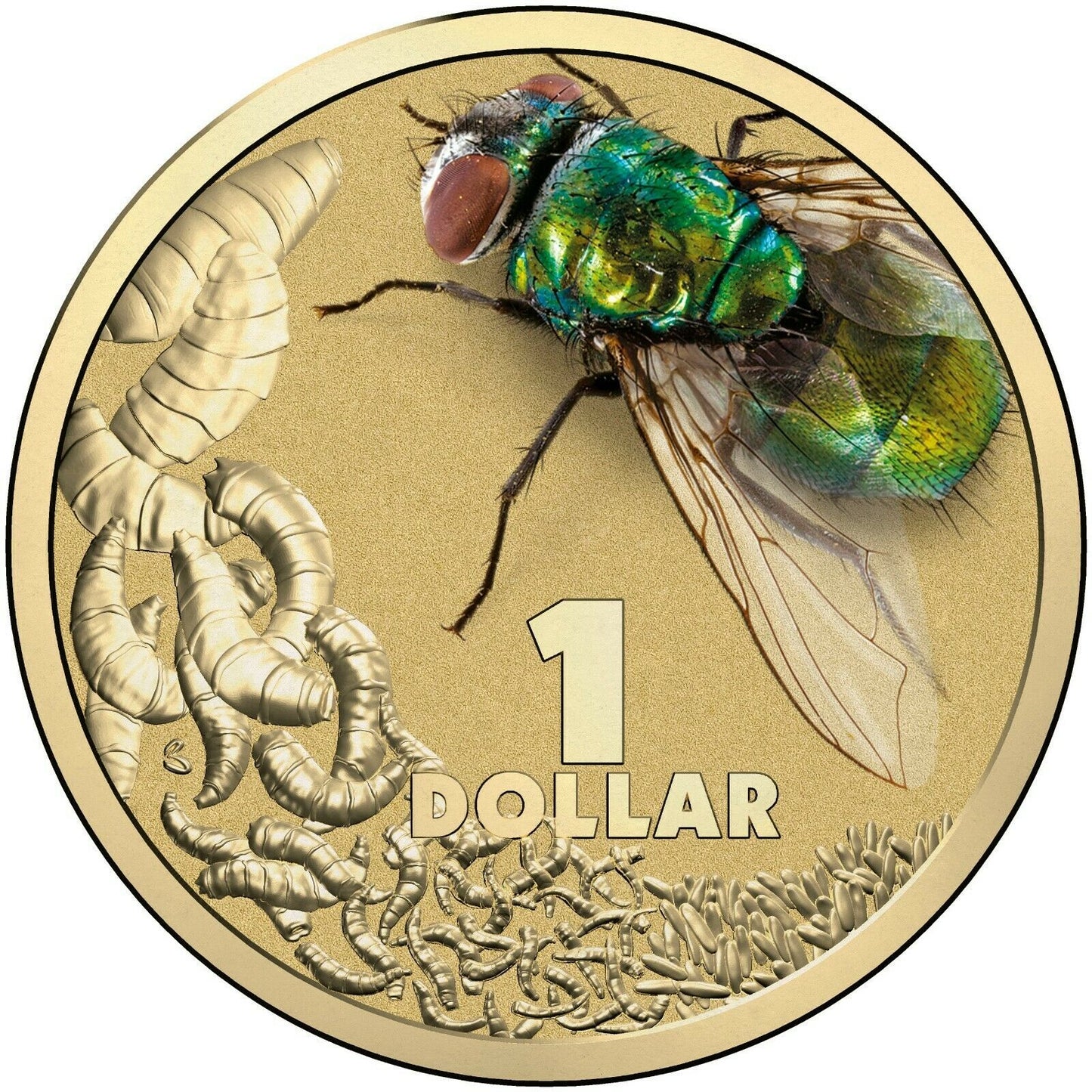 2014 $1 Blow Fly Carded Coin Bright-Bug Series - Mintage: 30,000